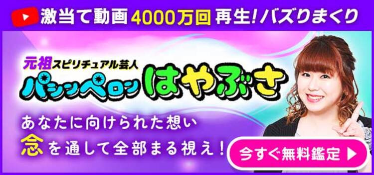 元祖スピ芸人◆パシンペロンはやぶさ