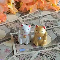 お金を見つめる女性